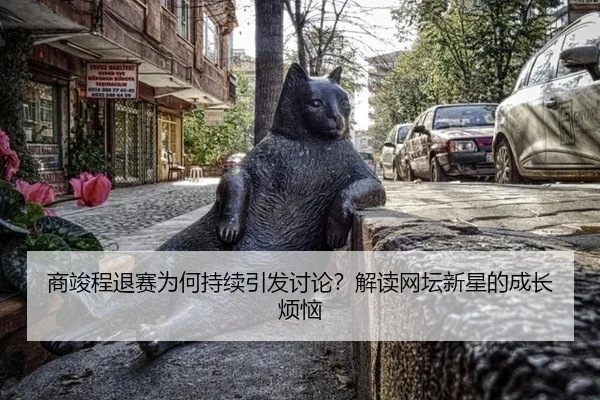 商竣程退赛为何持续引发讨论？解读网坛新星的成长烦恼